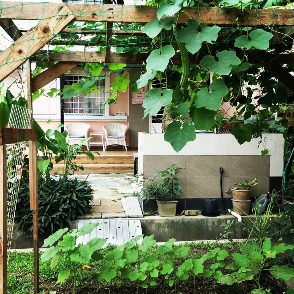 Proses Melakukan Patio